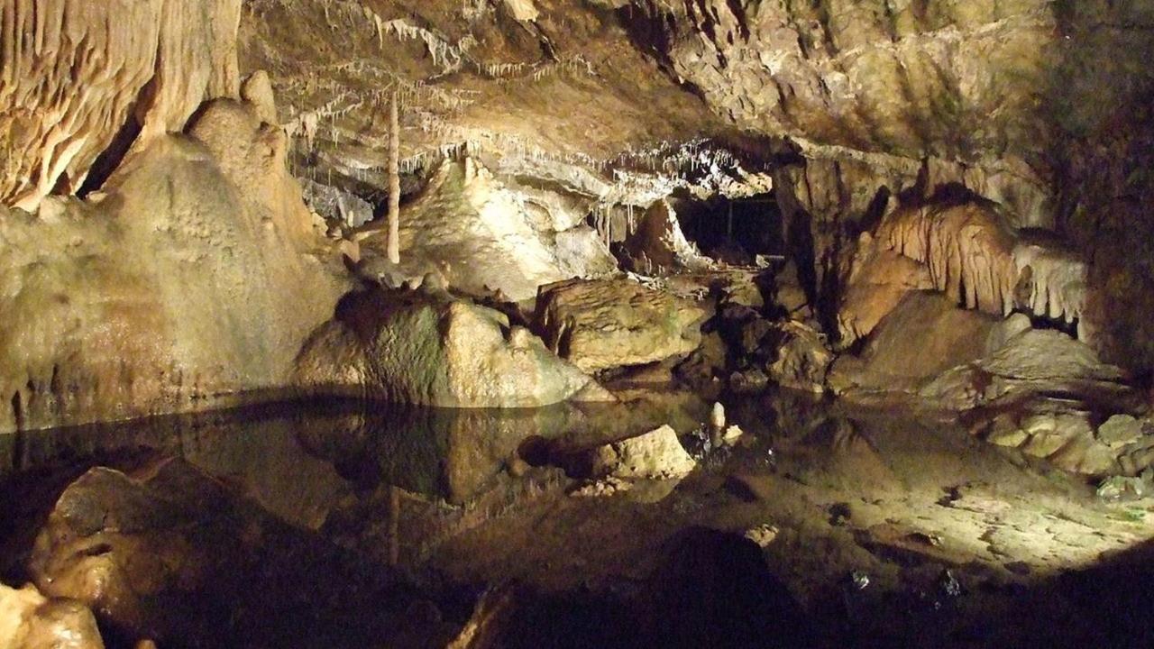 Apartament Aux Trois Petits Cochons Hotton Zewnętrze zdjęcie