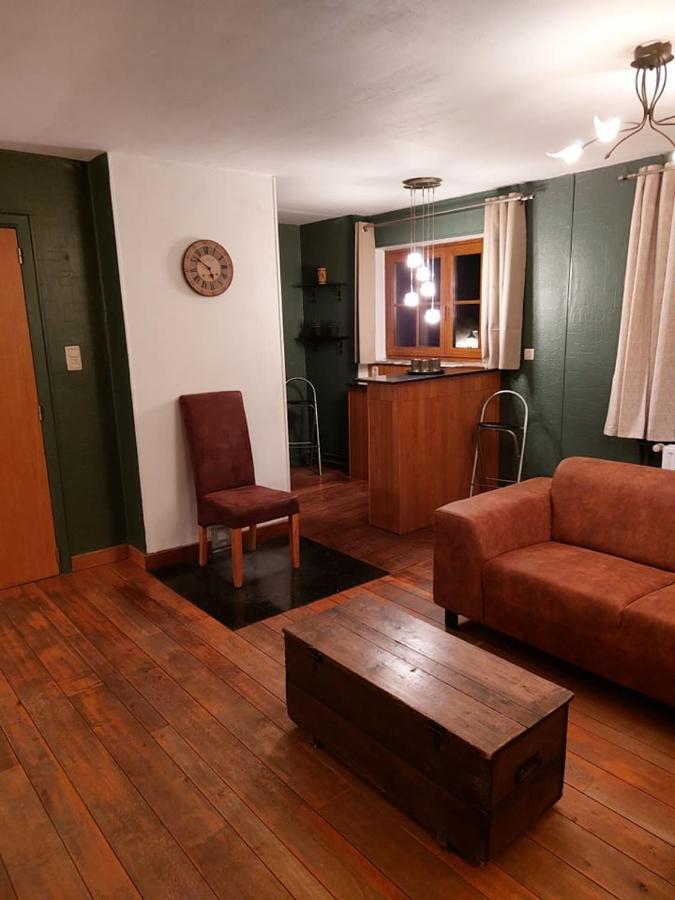 Apartament Aux Trois Petits Cochons Hotton Zewnętrze zdjęcie